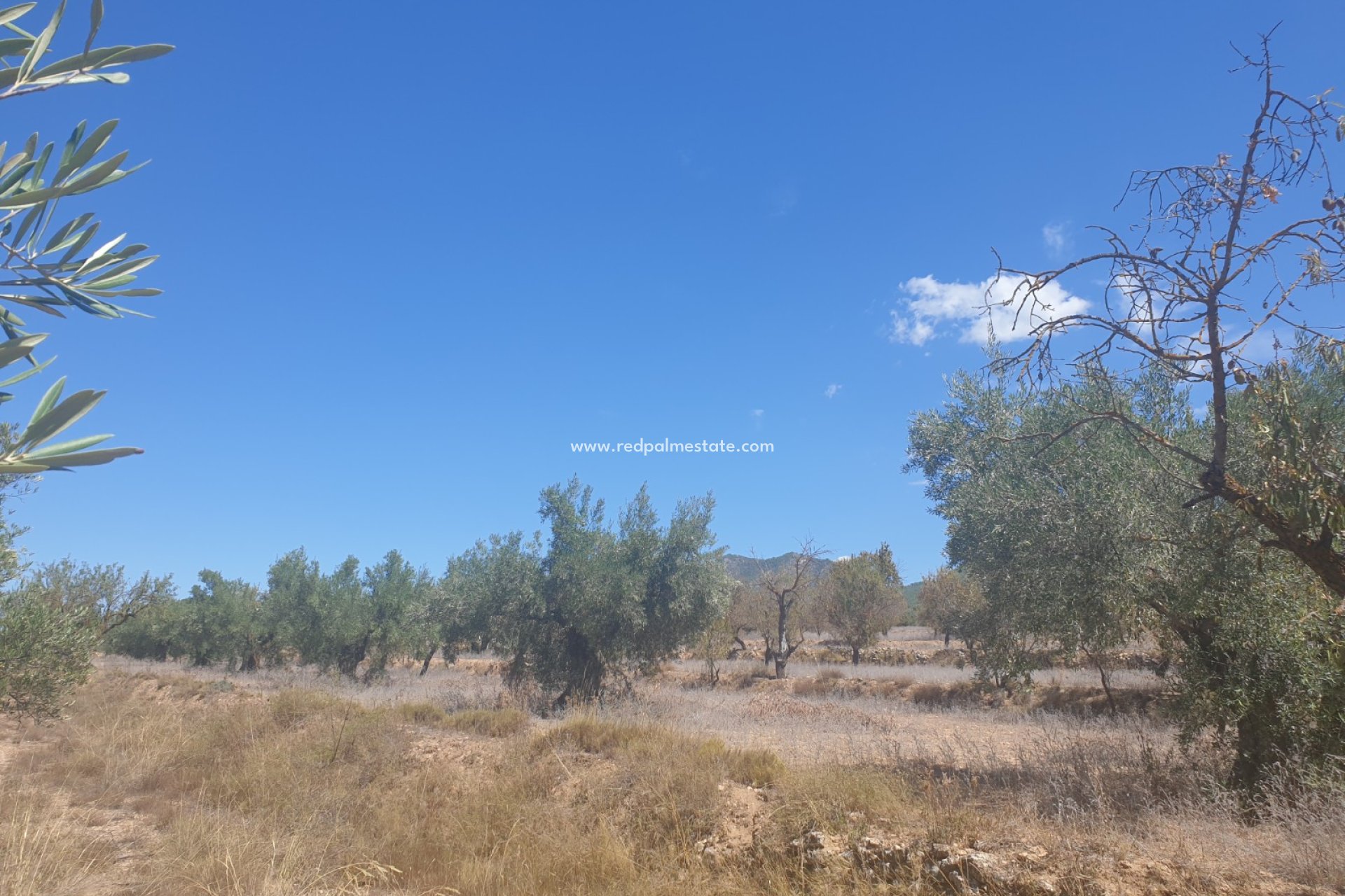 Videresalg - Plott -
Biar - Inland