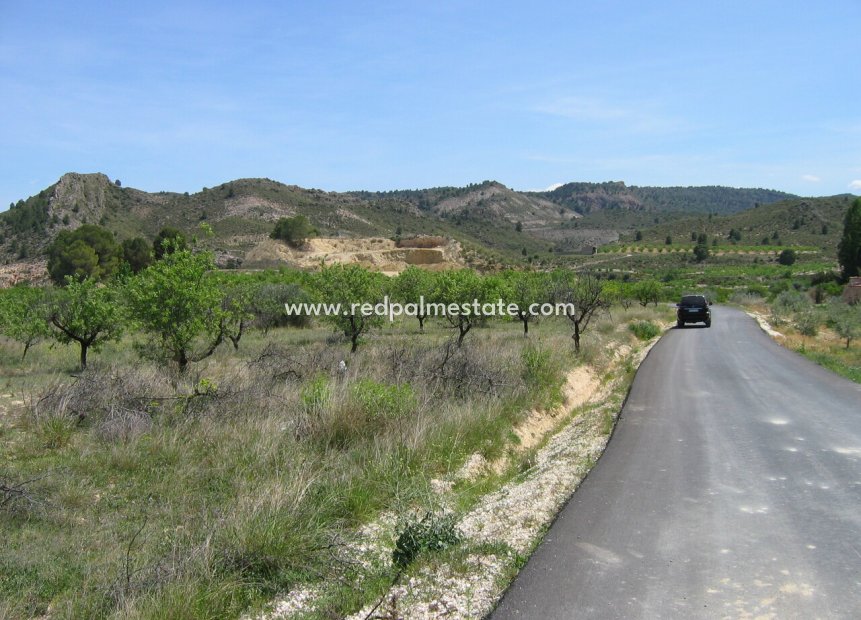 Videresalg - Plott -
Calasparra - Inland