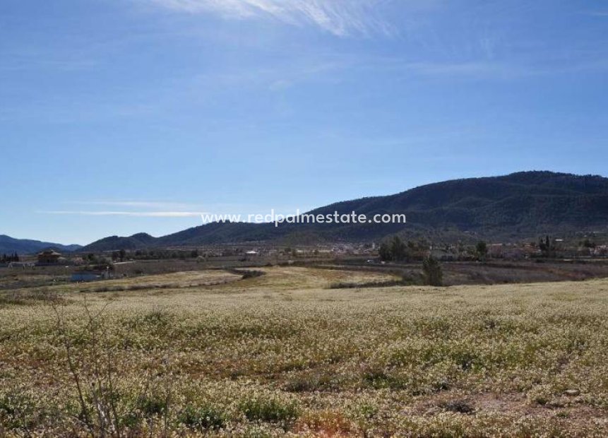 Videresalg - Plott -
Chinorlet - Inland