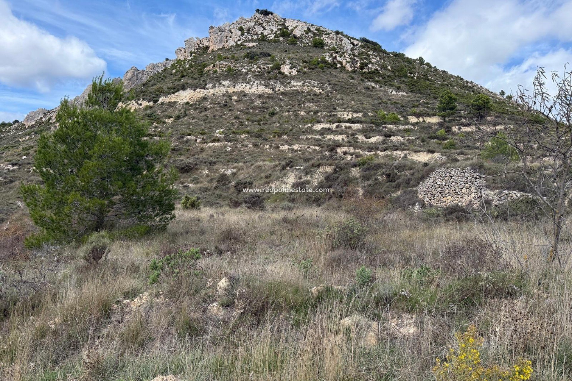 Videresalg - Plott -
Confrides - Barranc de Xarquera