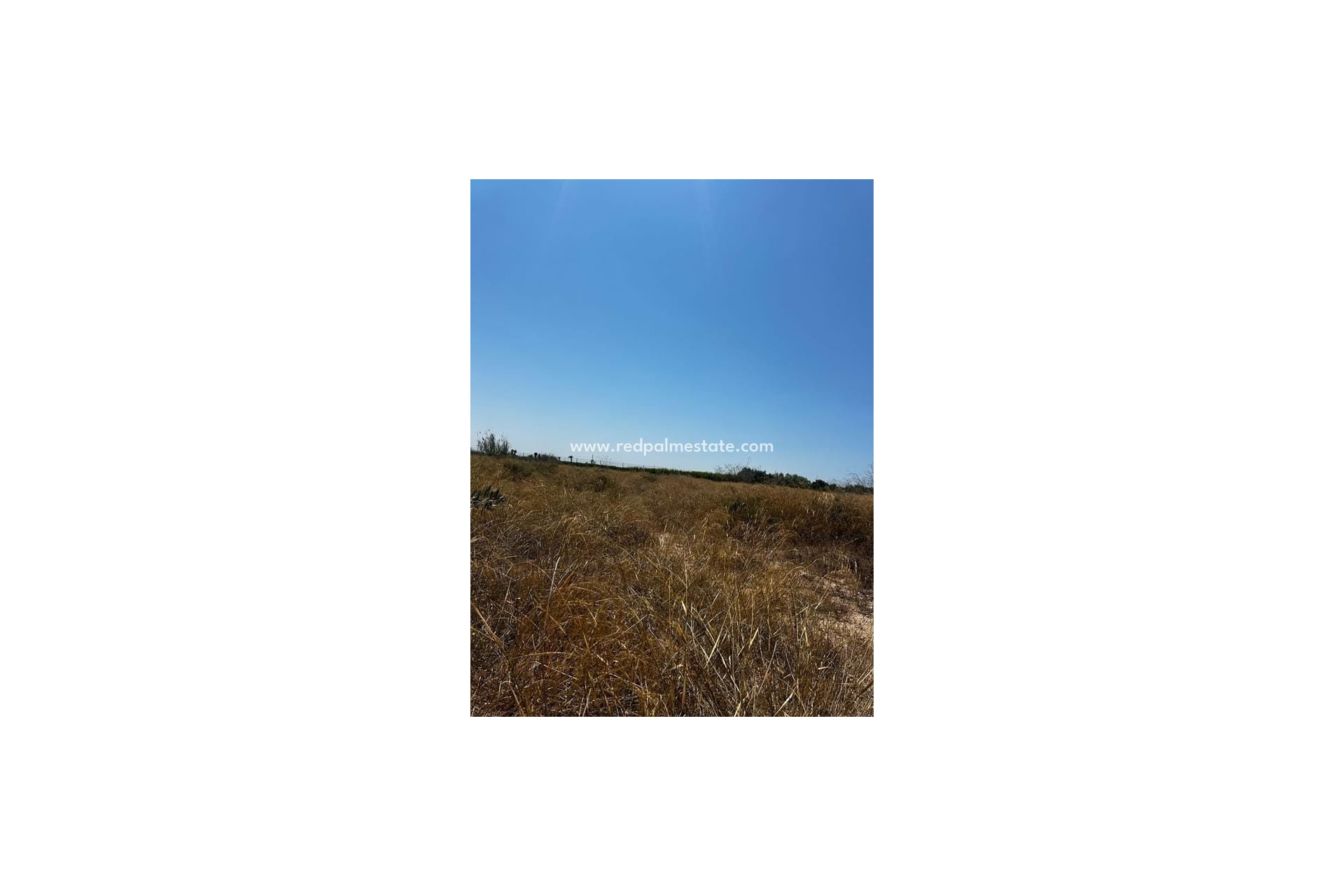Videresalg - Plott -
Elche - Costa Blanca
