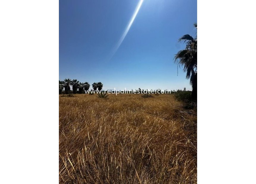Videresalg - Plott -
Elche - Costa Blanca