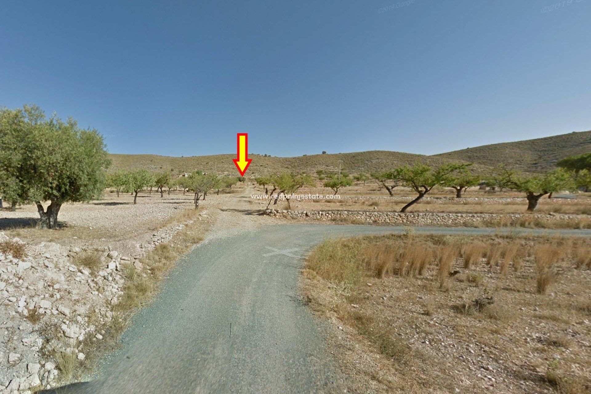 Videresalg - Plott -
Hondón de las Nieves - Rebalso