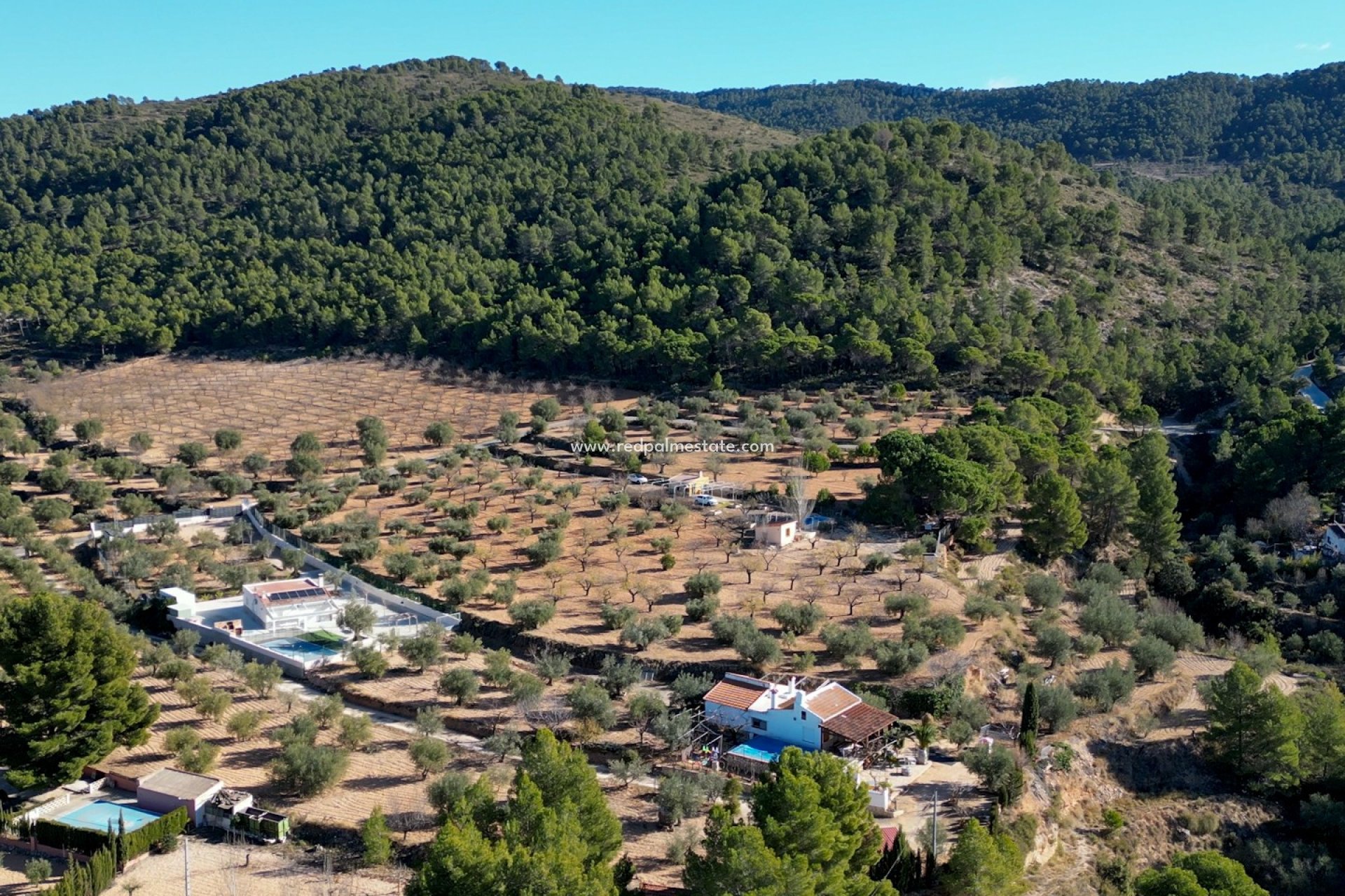 Videresalg - Plott -
Ibi - Costa Blanca