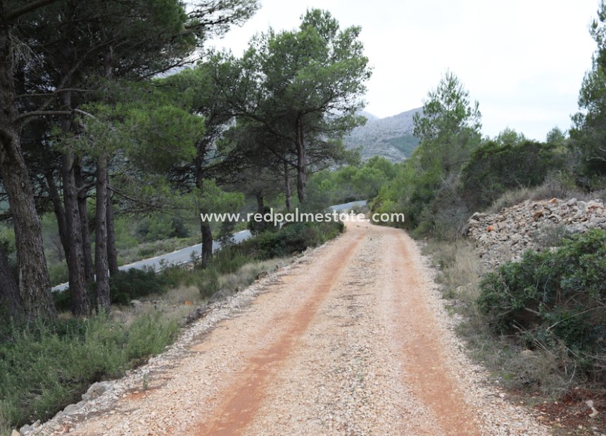 Videresalg - Plott -
Jalón - Inland