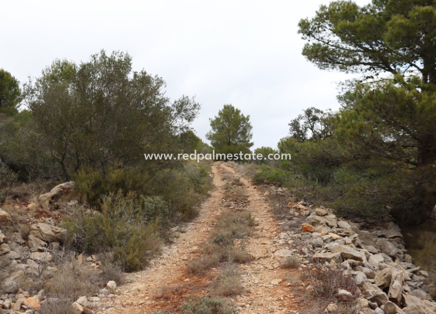 Videresalg - Plott -
Jalón - Inland