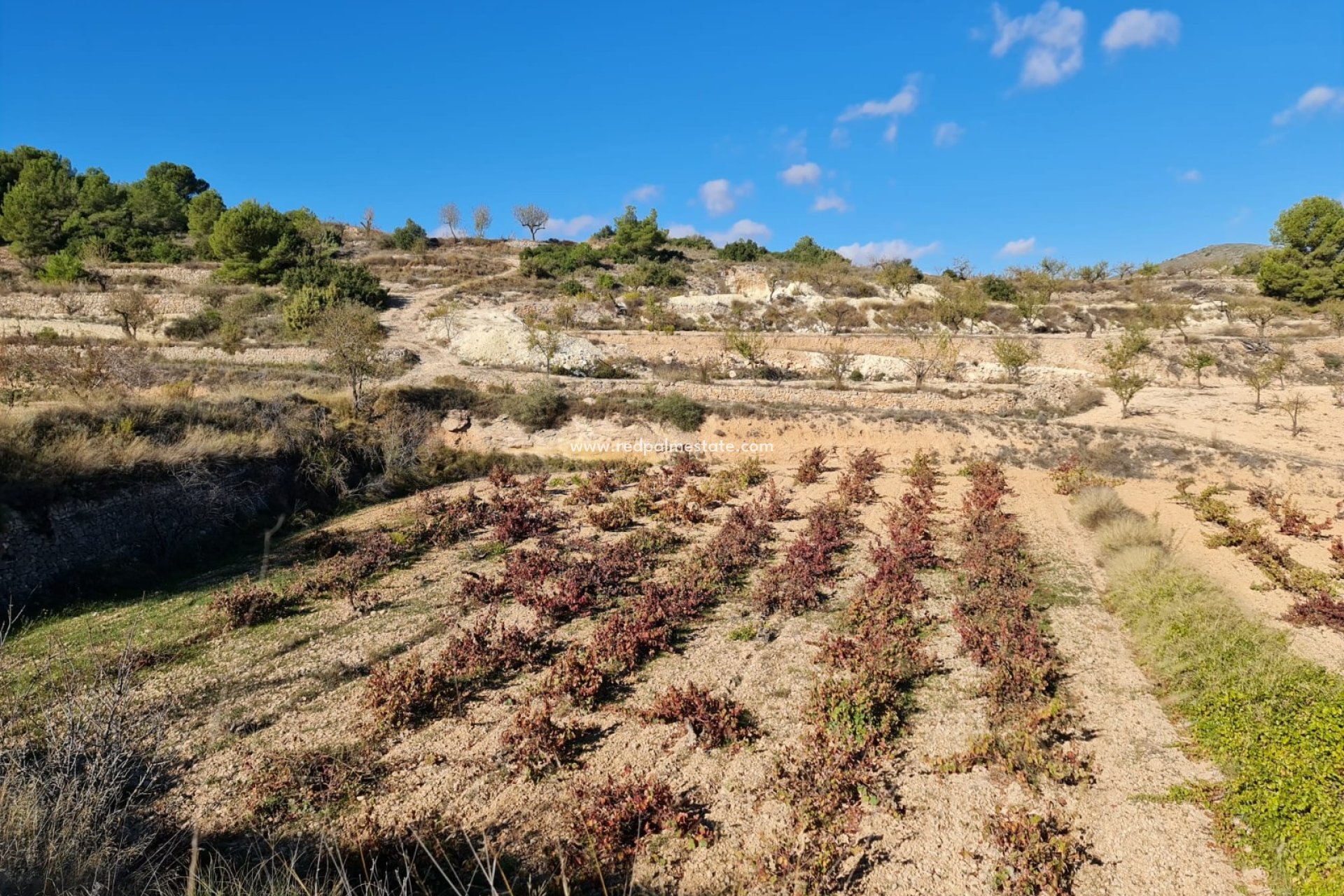 Videresalg - Plott -
La Romana - Inland