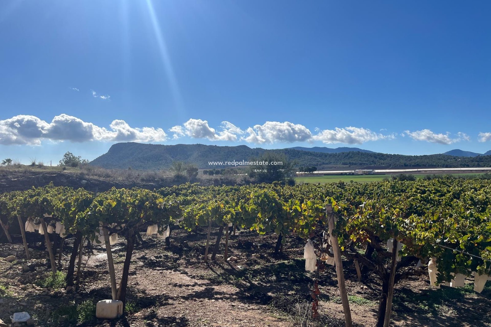 Videresalg - Plott -
La Romana - Inland