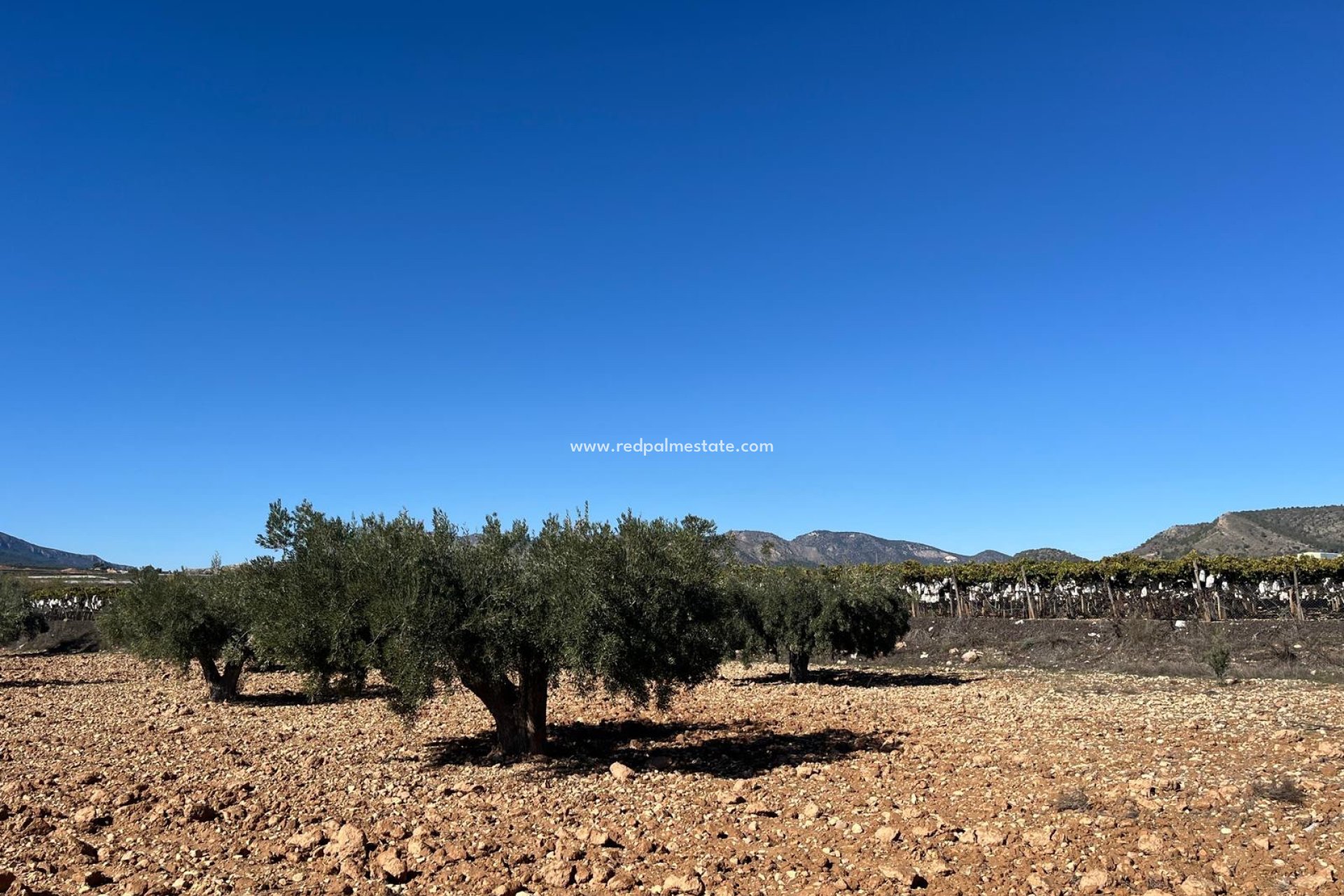 Videresalg - Plott -
La Romana - Inland