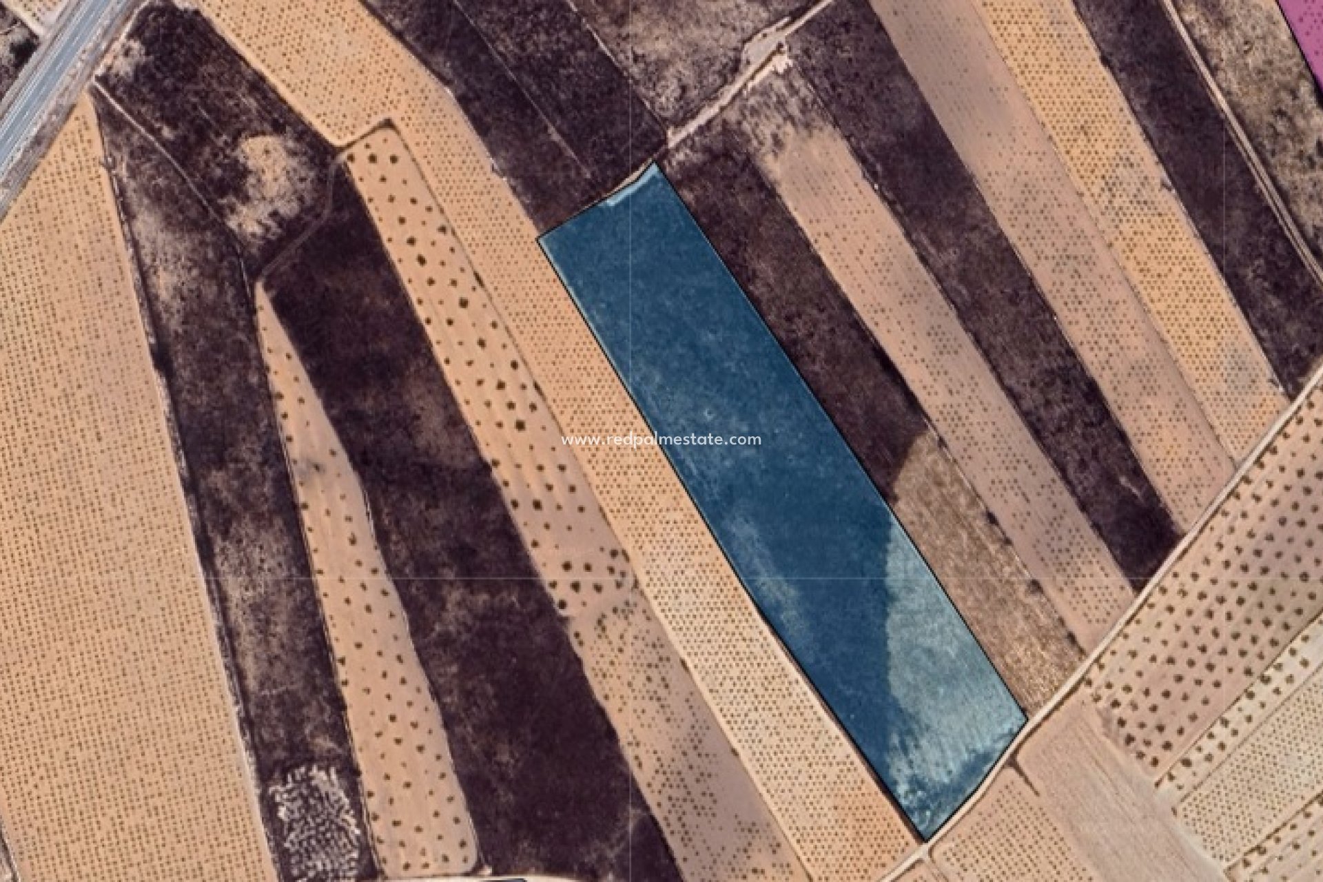 Videresalg - Plott -
La Solana