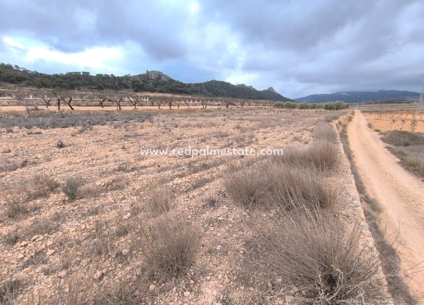 Videresalg - Plott -
La Solana