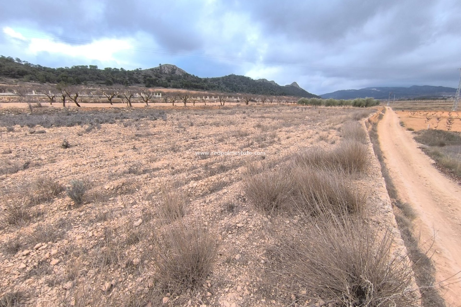 Videresalg - Plott -
La Solana