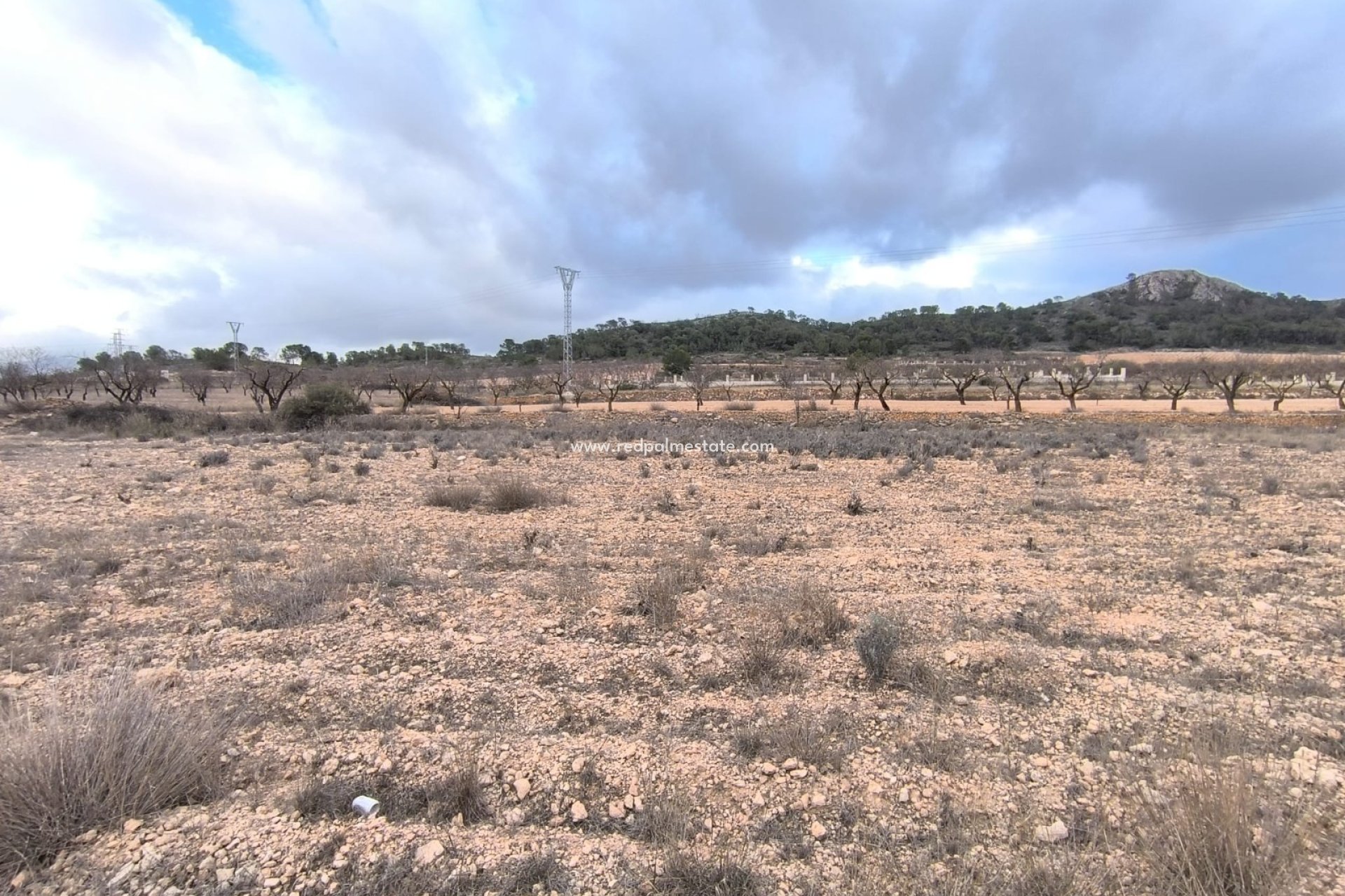 Videresalg - Plott -
La Solana