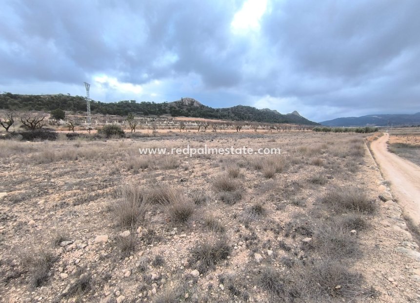 Videresalg - Plott -
La Solana