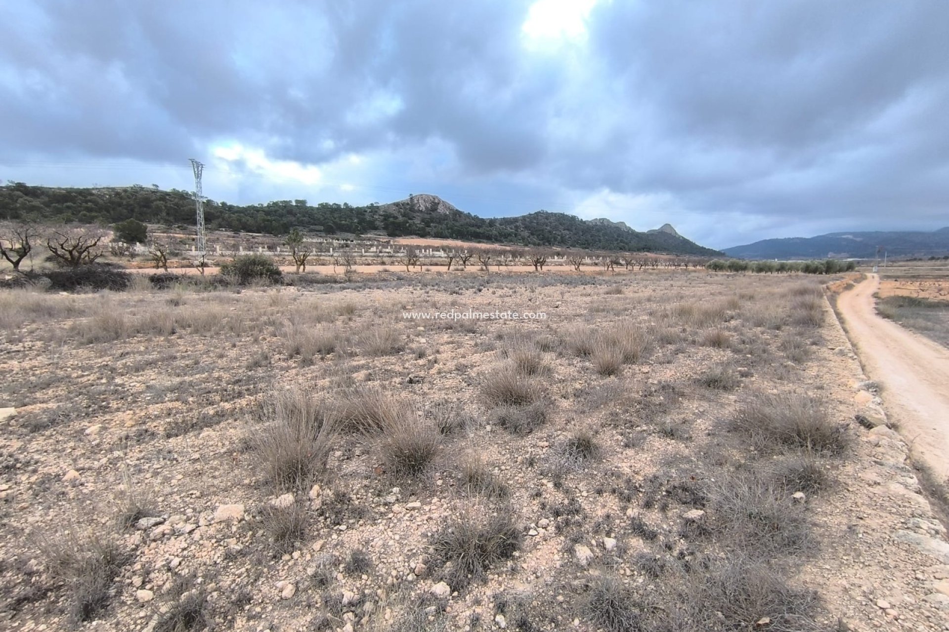 Videresalg - Plott -
La Solana