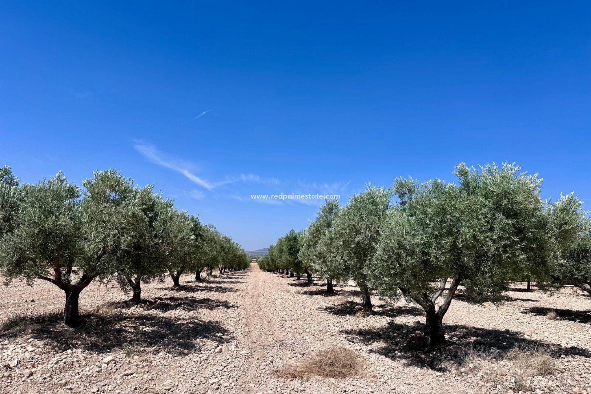 Videresalg - Plott -
Monóvar/Monóver - Inland