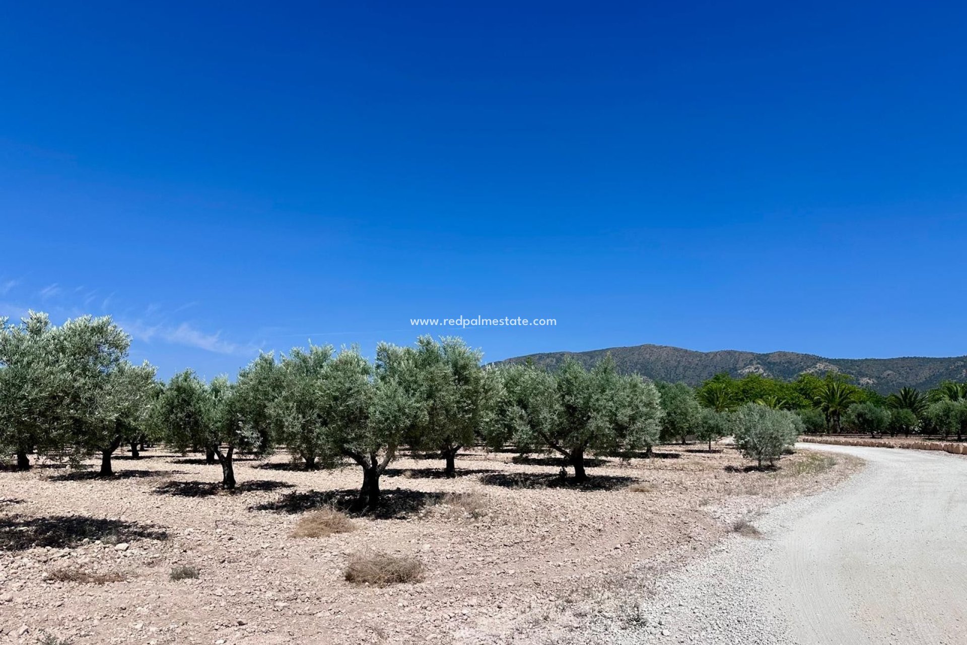 Videresalg - Plott -
Monóvar/Monóver - Inland