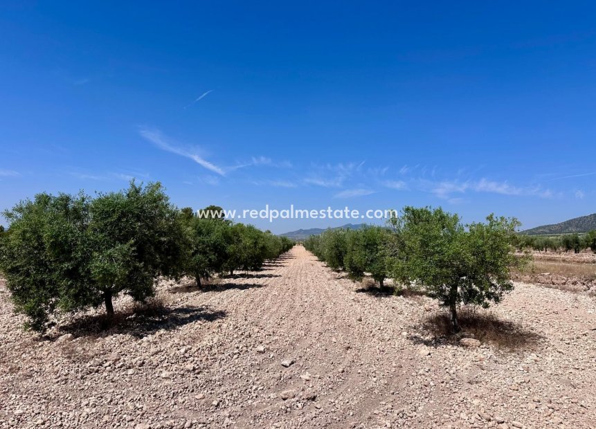 Videresalg - Plott -
Monóvar/Monóver - Inland