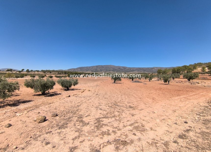 Videresalg - Plott -
Monóvar/Monóver - Inland