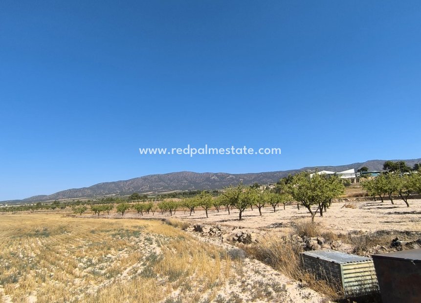 Videresalg - Plott -
Monóvar/Monóver - Inland