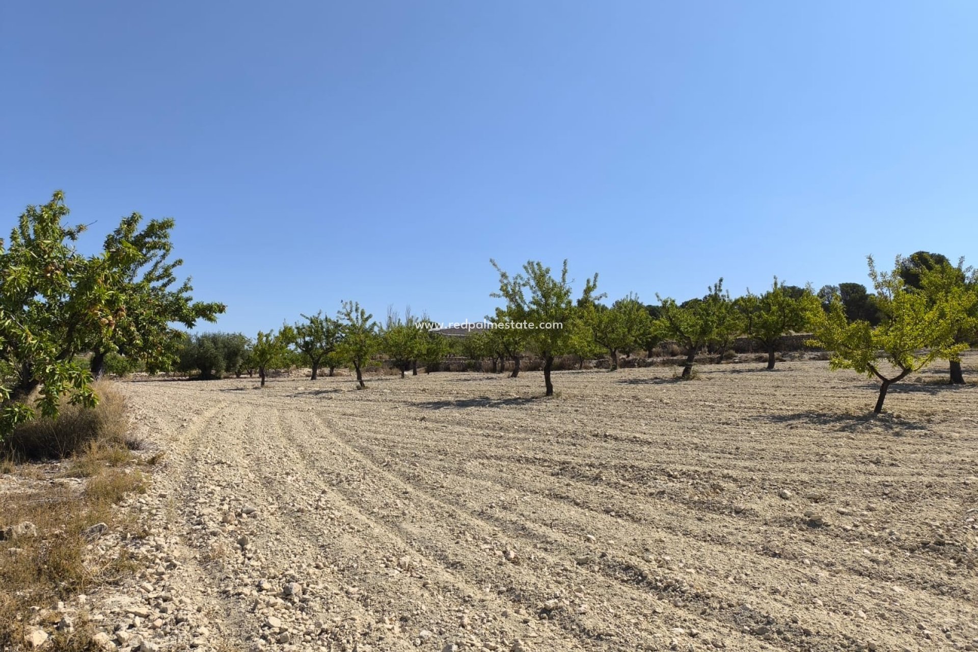Videresalg - Plott -
Monóvar/Monóver - Inland