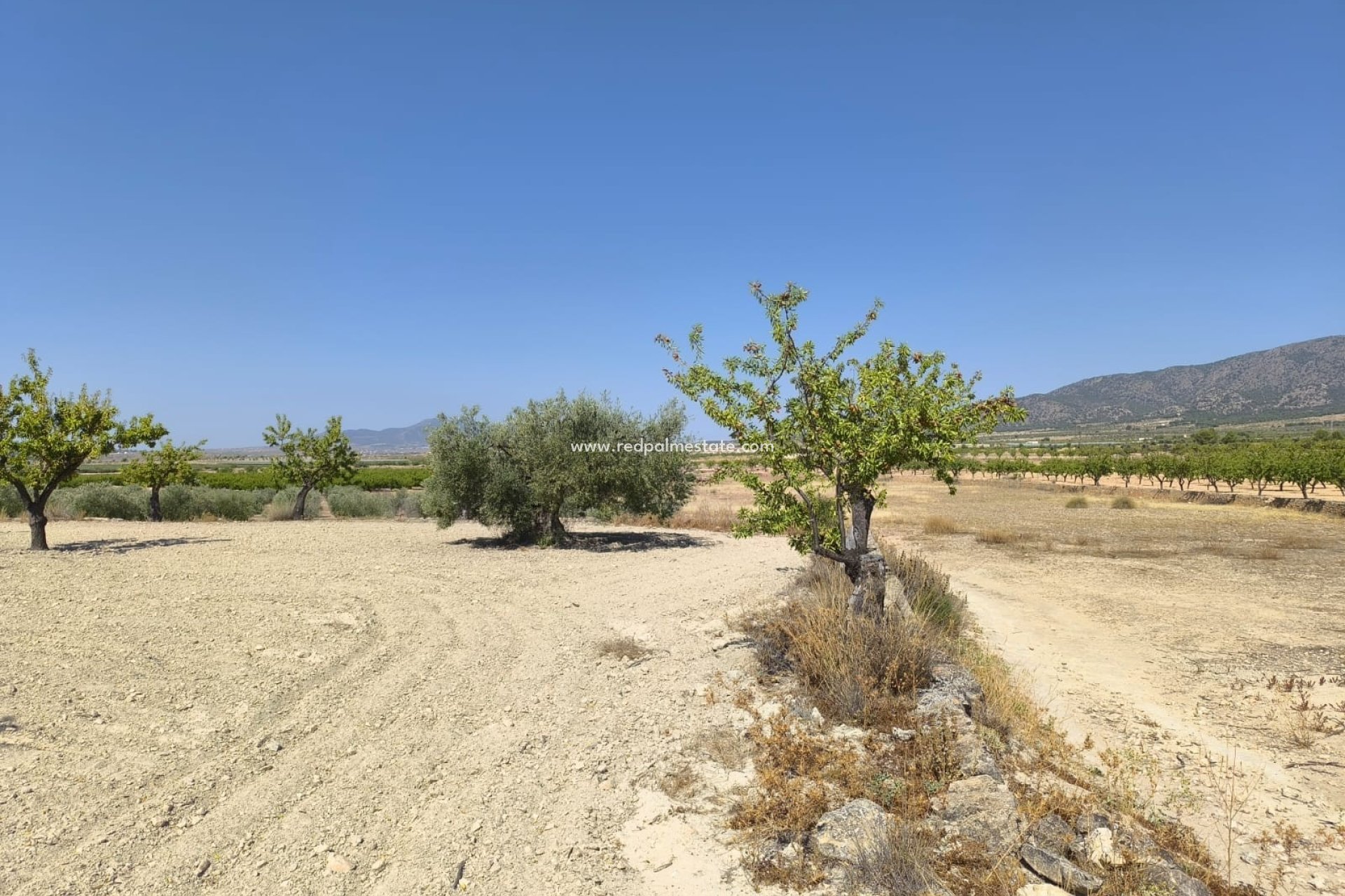 Videresalg - Plott -
Monóvar/Monóver - Inland