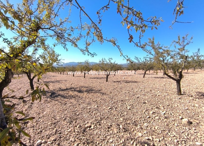 Videresalg - Plott -
Monóvar/Monóver - Inland