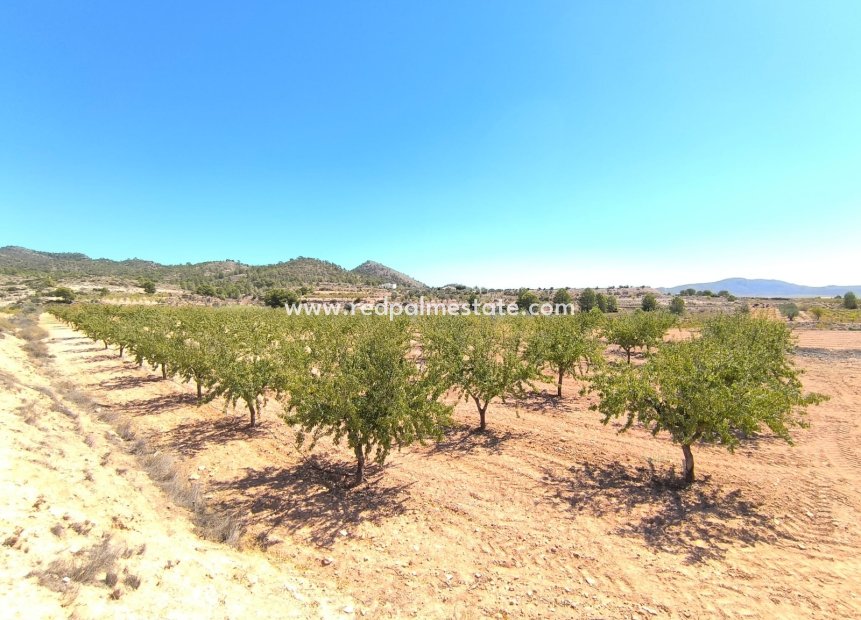 Videresalg - Plott -
Monóvar/Monóver - Inland
