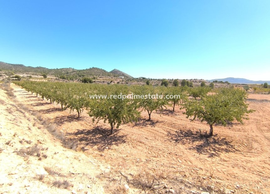 Videresalg - Plott -
Monóvar/Monóver - Inland