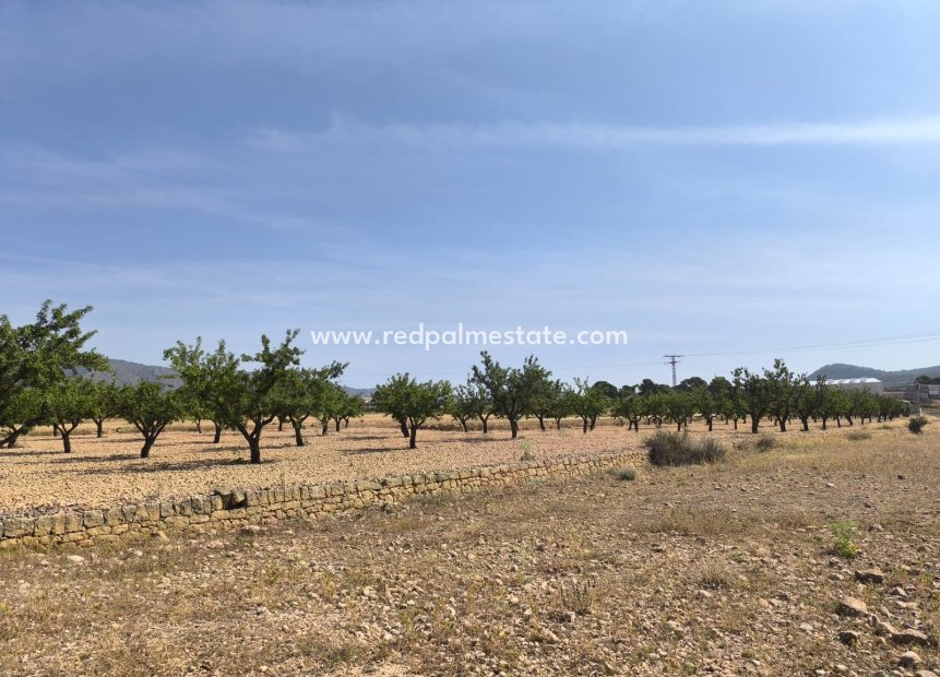 Videresalg - Plott -
Monóvar/Monóver - Inland