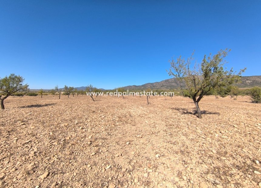 Videresalg - Plott -
Monóvar/Monóver - Inland