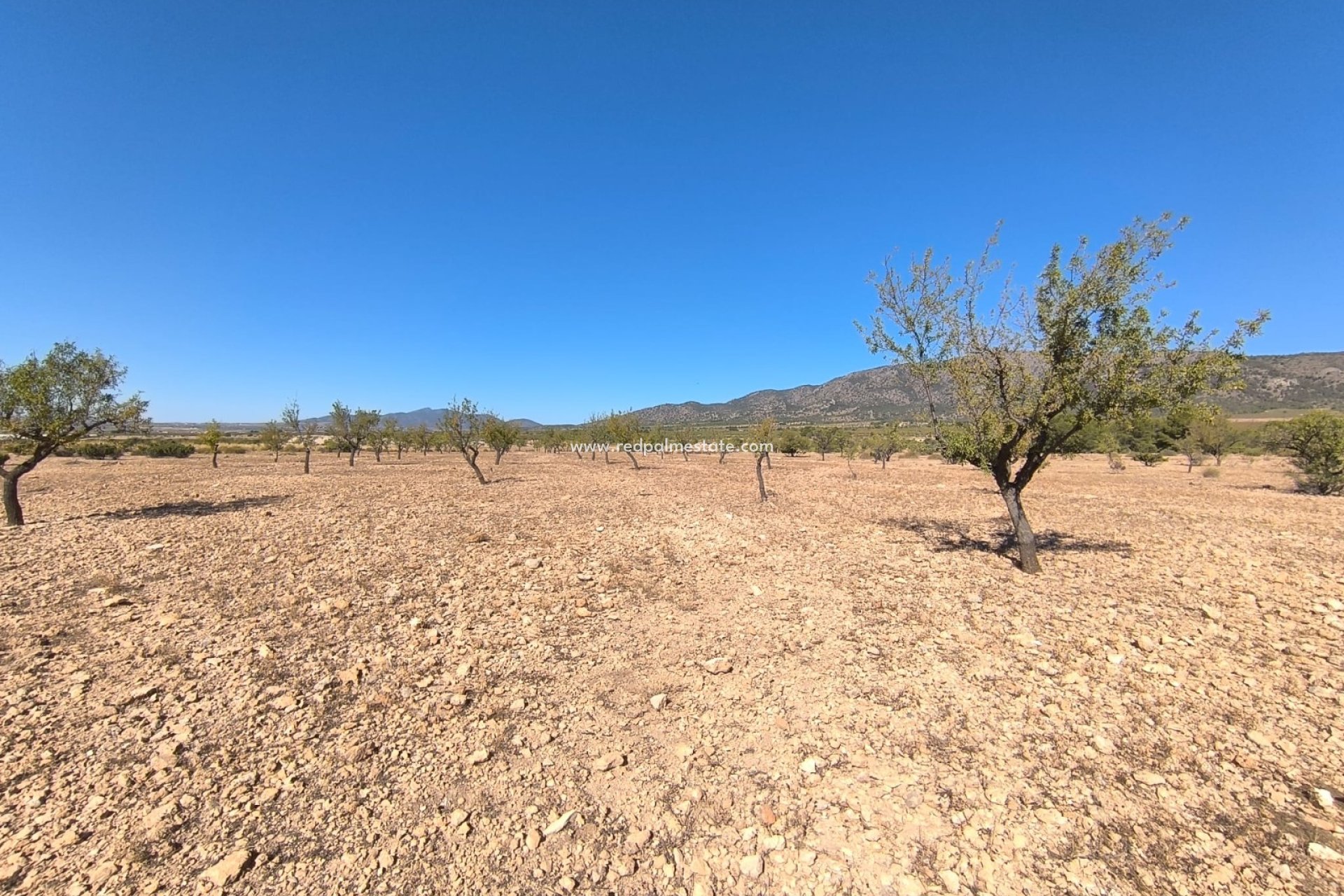 Videresalg - Plott -
Monóvar/Monóver - Inland
