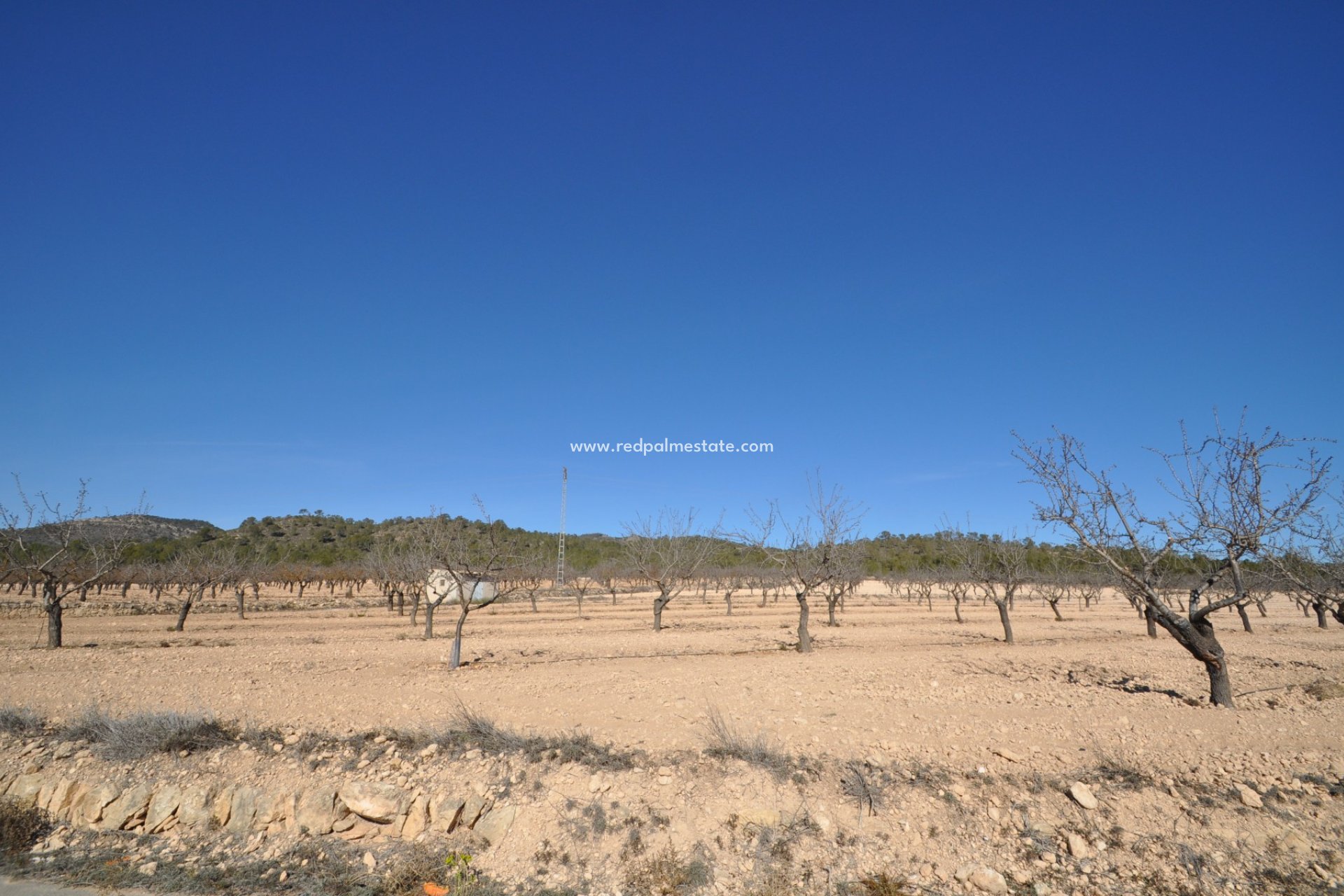 Videresalg - Plott -
Monóvar/Monóver - Inland