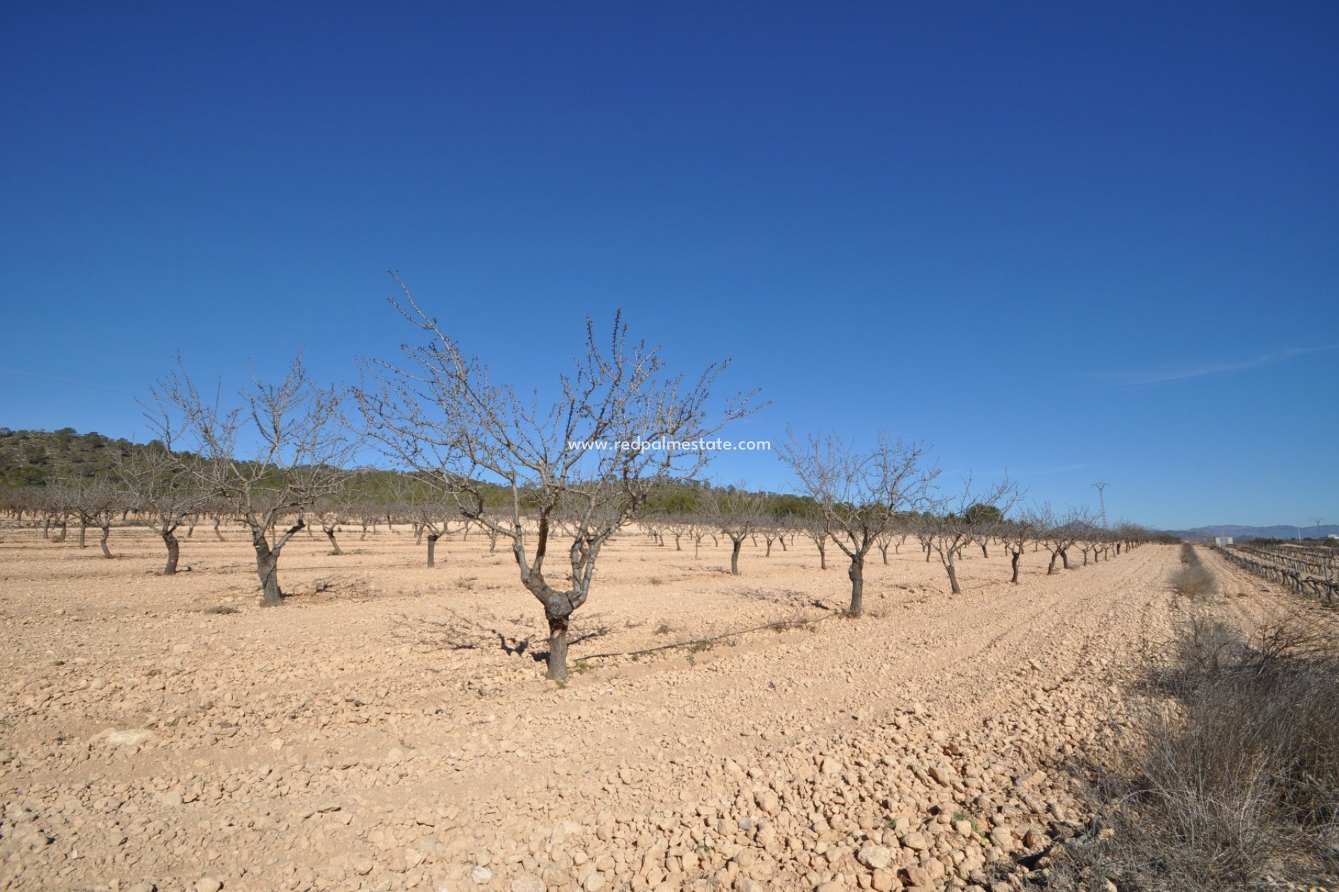 Videresalg - Plott -
Monóvar/Monóver - Inland