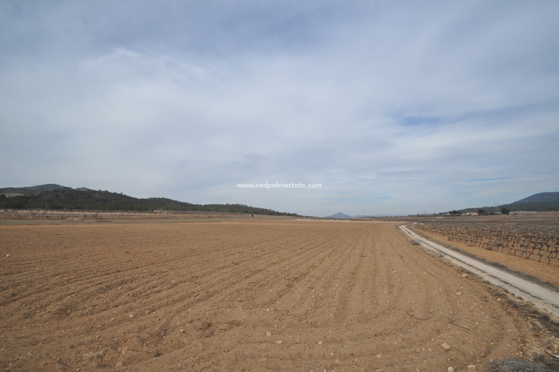 Videresalg - Plott -
Monóvar/Monóver - Inland