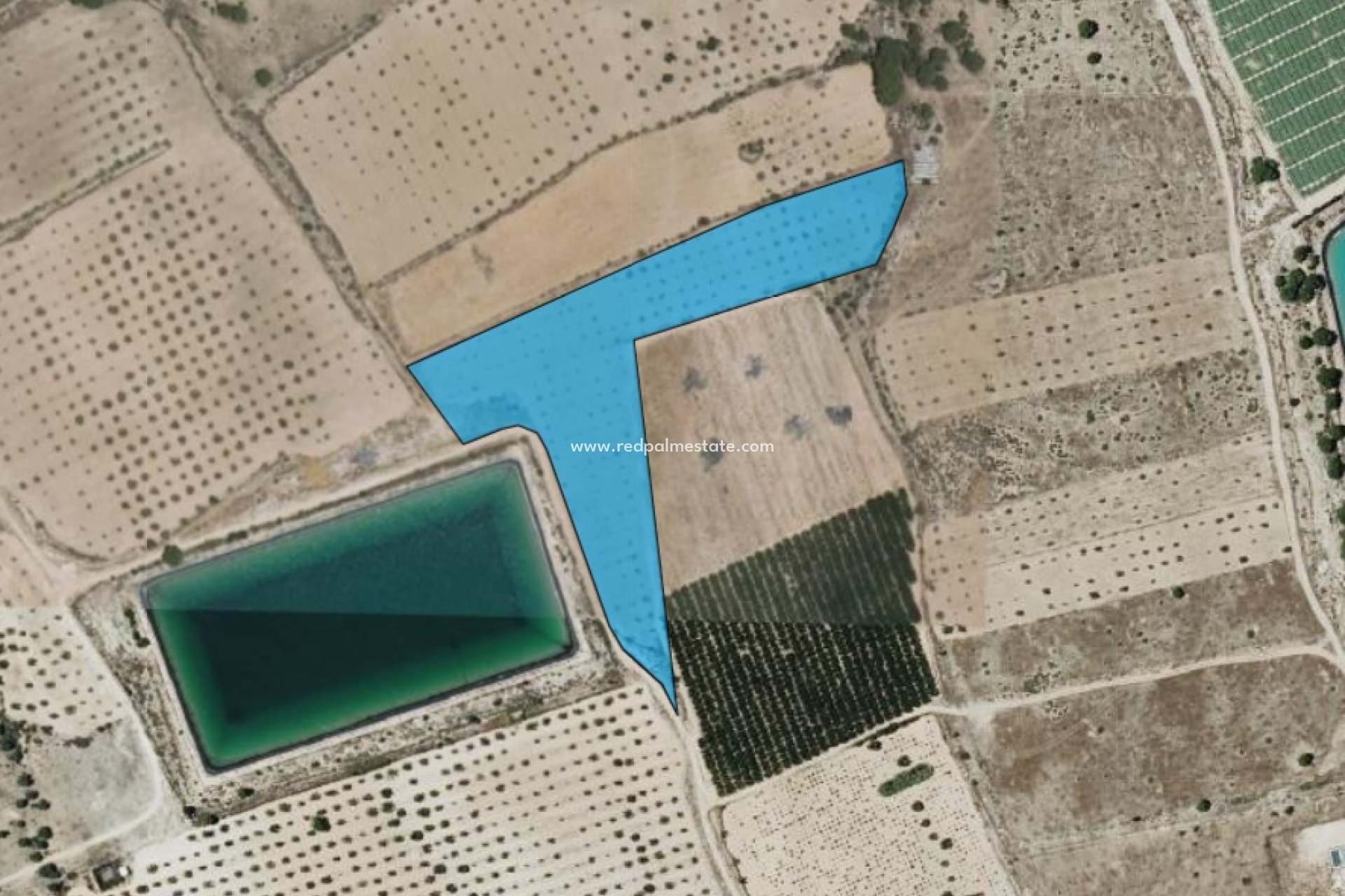 Videresalg - Plott -
Monóvar/Monóver - Inland
