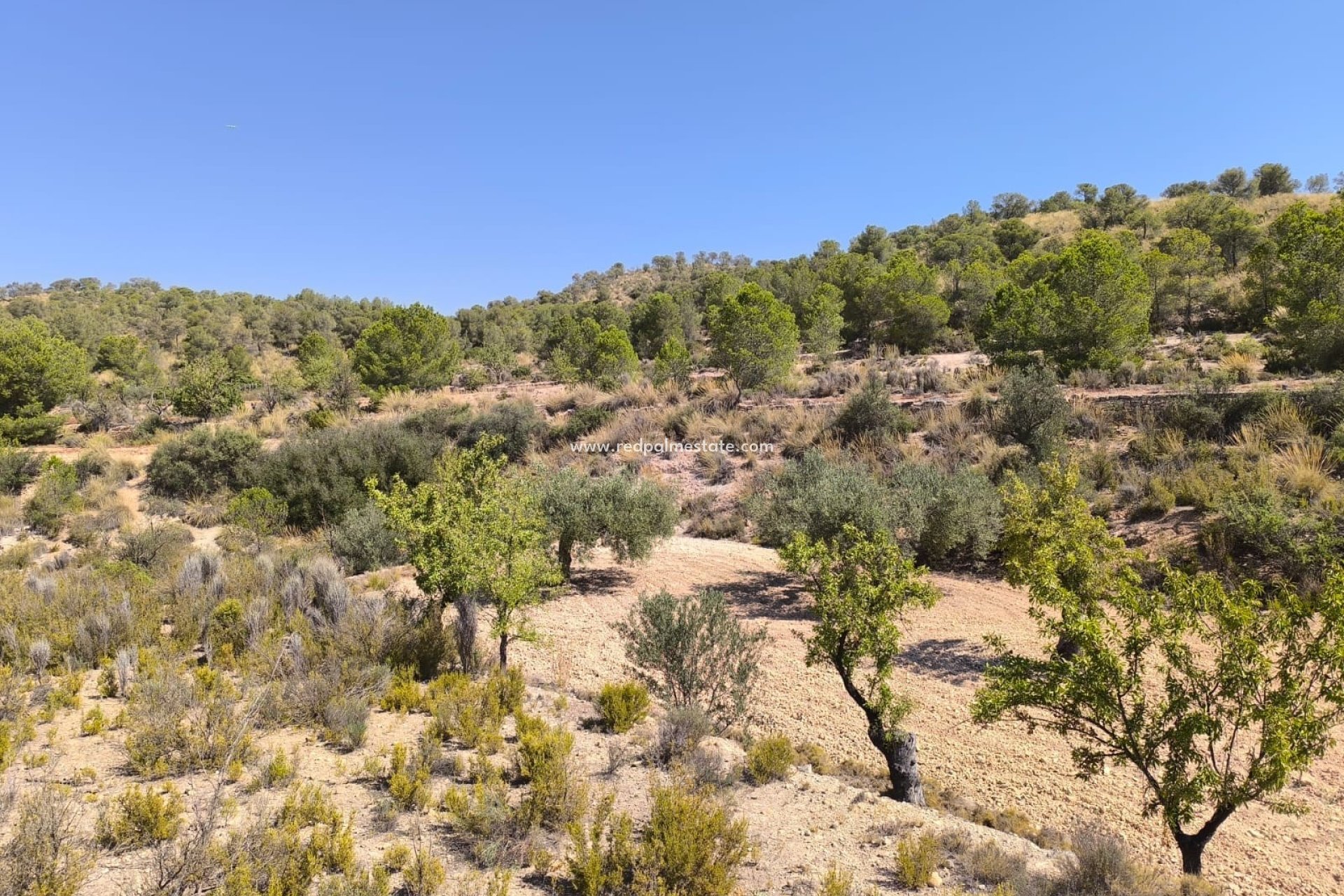 Videresalg - Plott -
Monóvar/Monóver - Inland