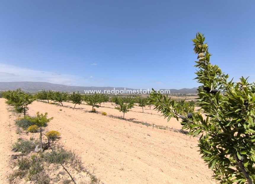 Videresalg - Plott -
Monóvar/Monóver - Inland