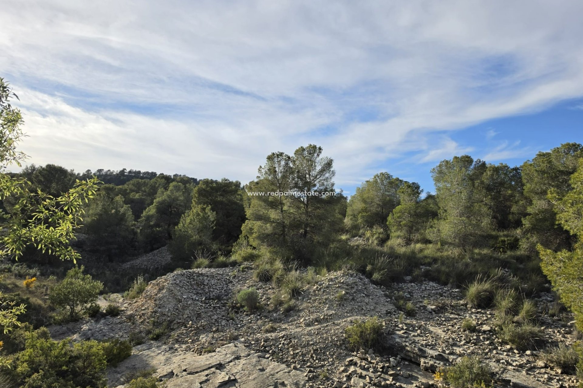 Videresalg - Plott -
Monóvar/Monóver - Inland