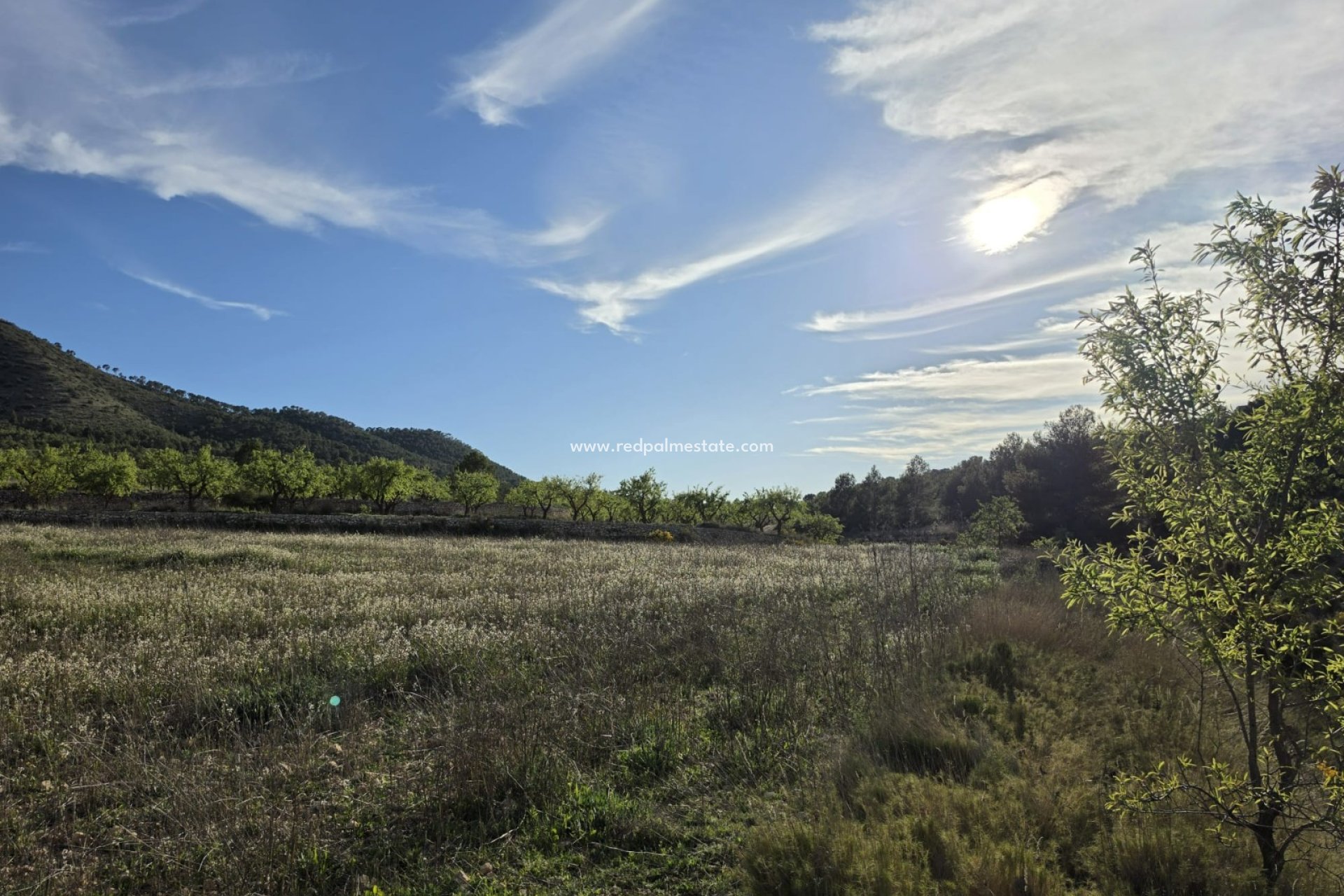 Videresalg - Plott -
Monóvar/Monóver - Inland