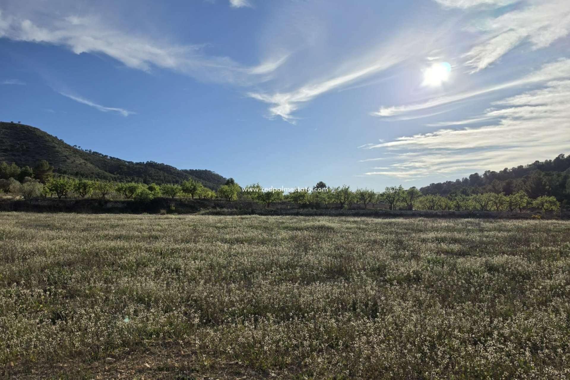 Videresalg - Plott -
Monóvar/Monóver - Inland