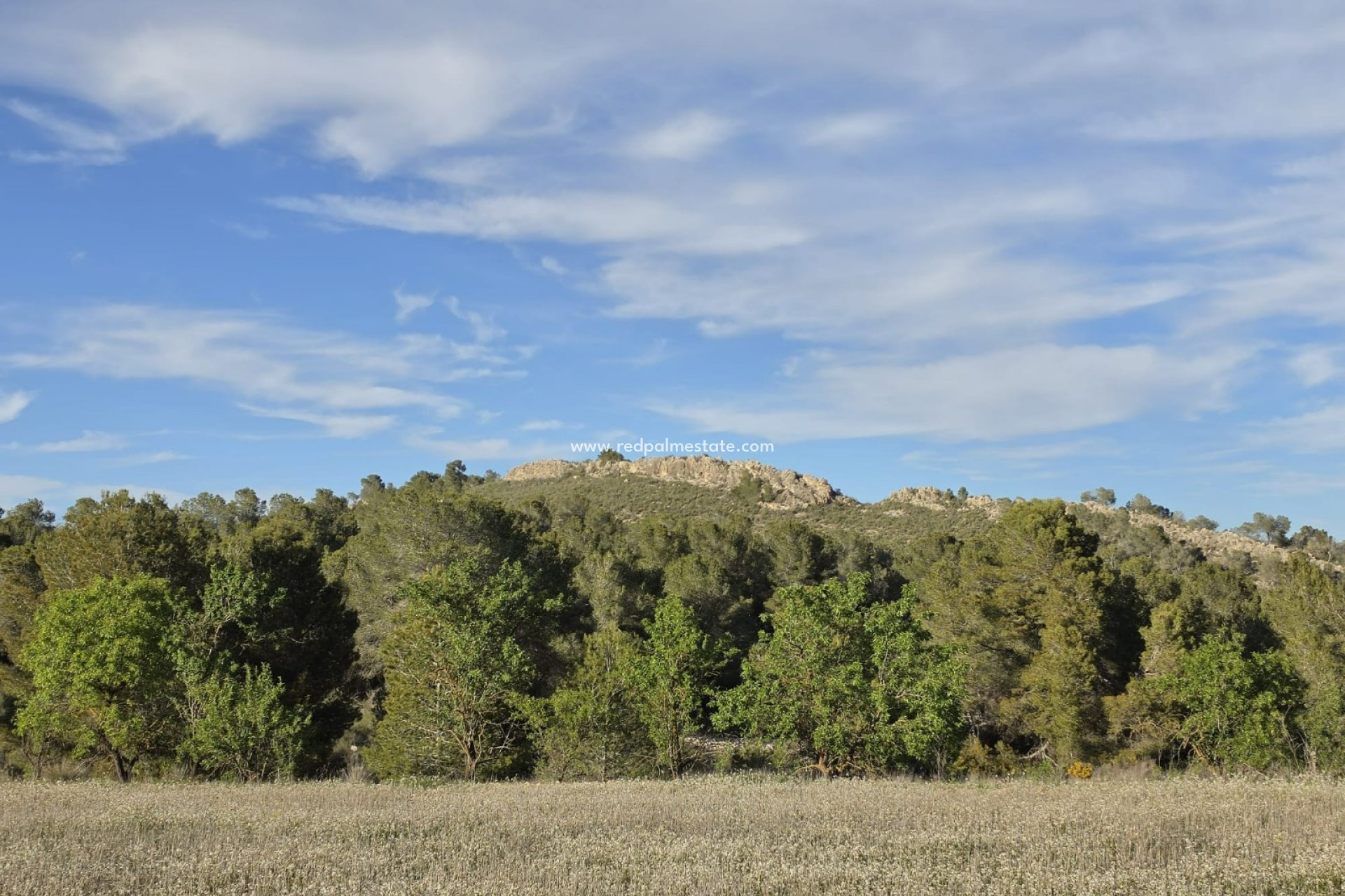 Videresalg - Plott -
Monóvar/Monóver - Inland