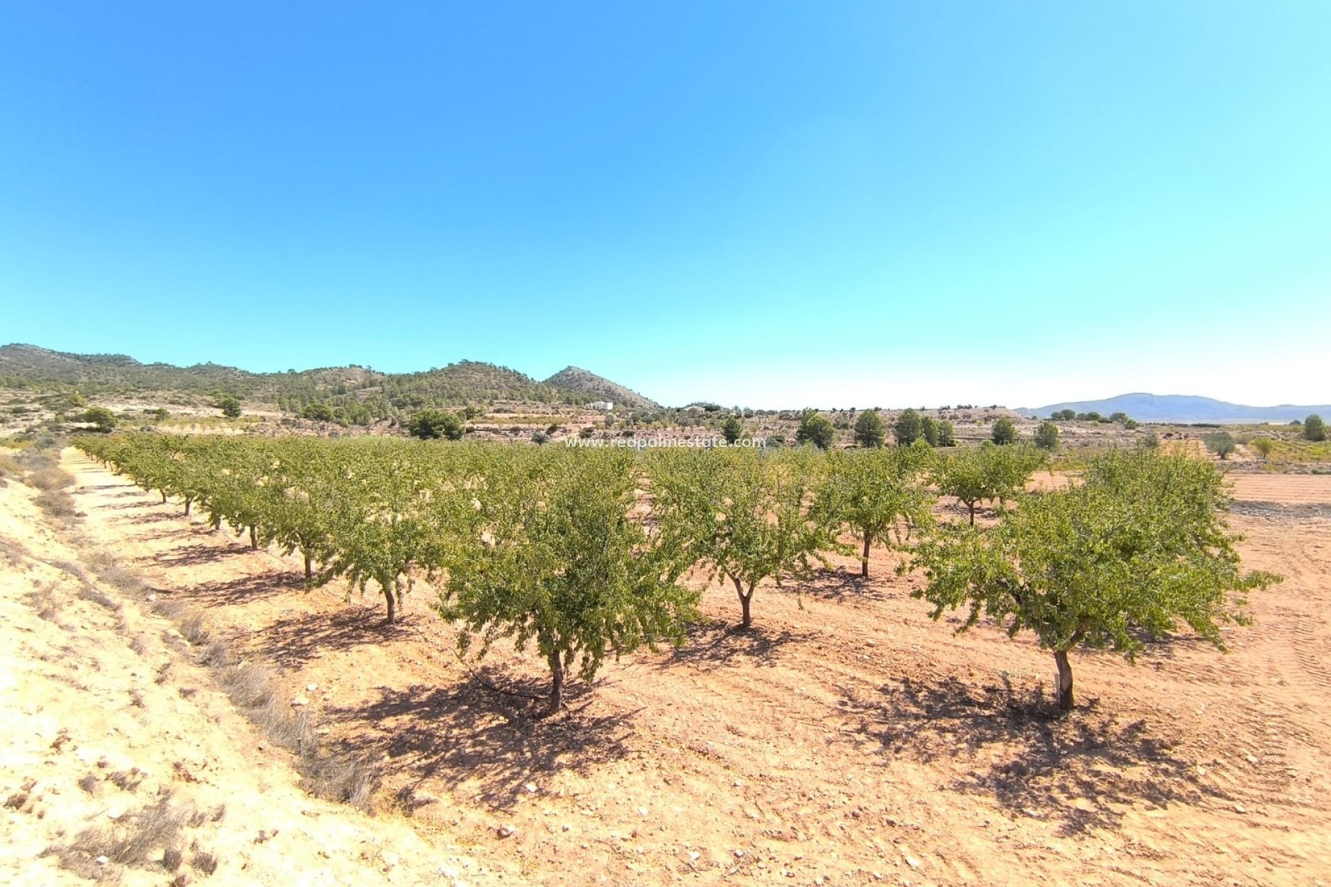 Videresalg - Plott -
Monóvar/Monóver - Inland