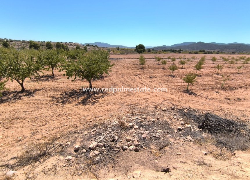 Videresalg - Plott -
Monóvar/Monóver - Inland