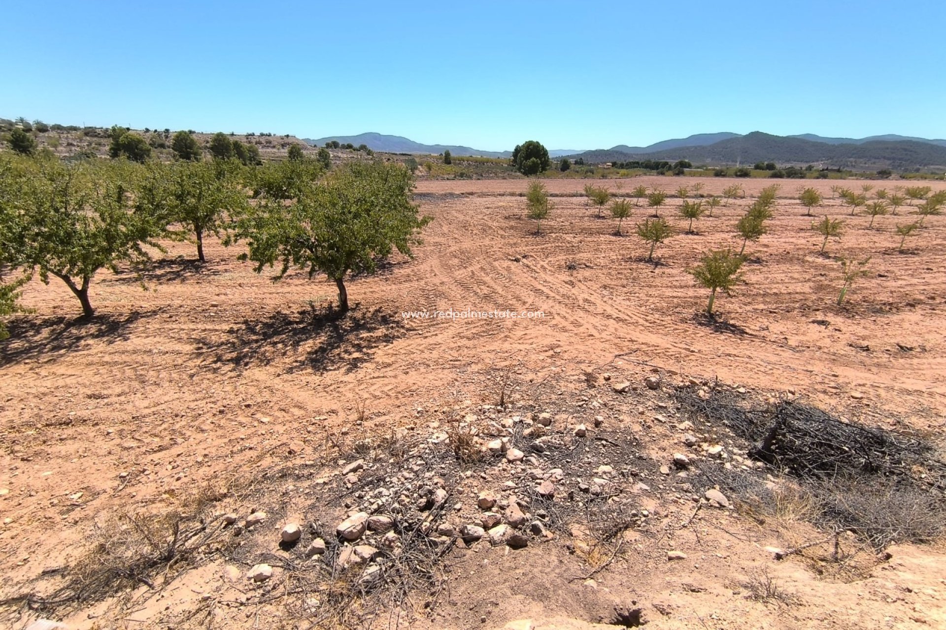 Videresalg - Plott -
Monóvar/Monóver - Inland