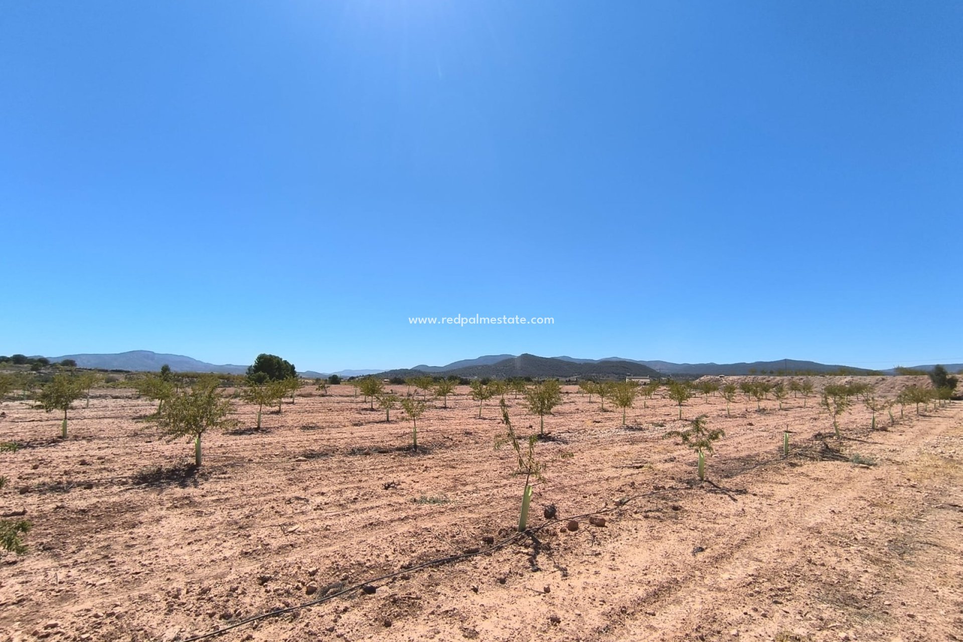 Videresalg - Plott -
Monóvar/Monóver - Inland