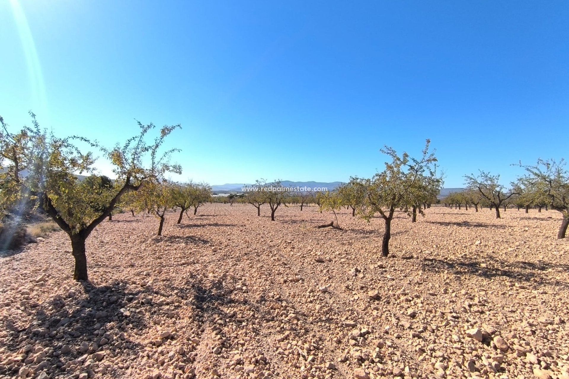 Videresalg - Plott -
Monóvar/Monóver - Inland