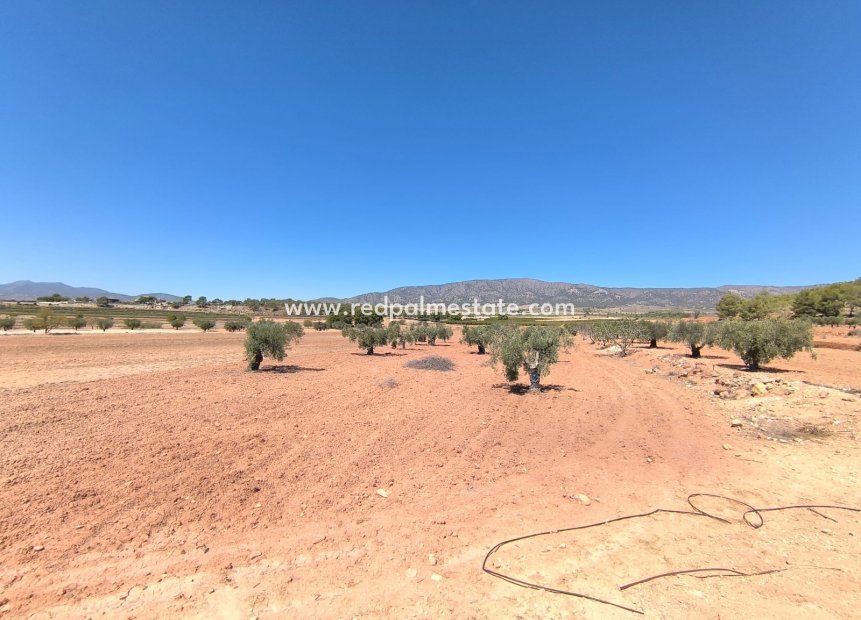 Videresalg - Plott -
Monóvar/Monóver - Inland