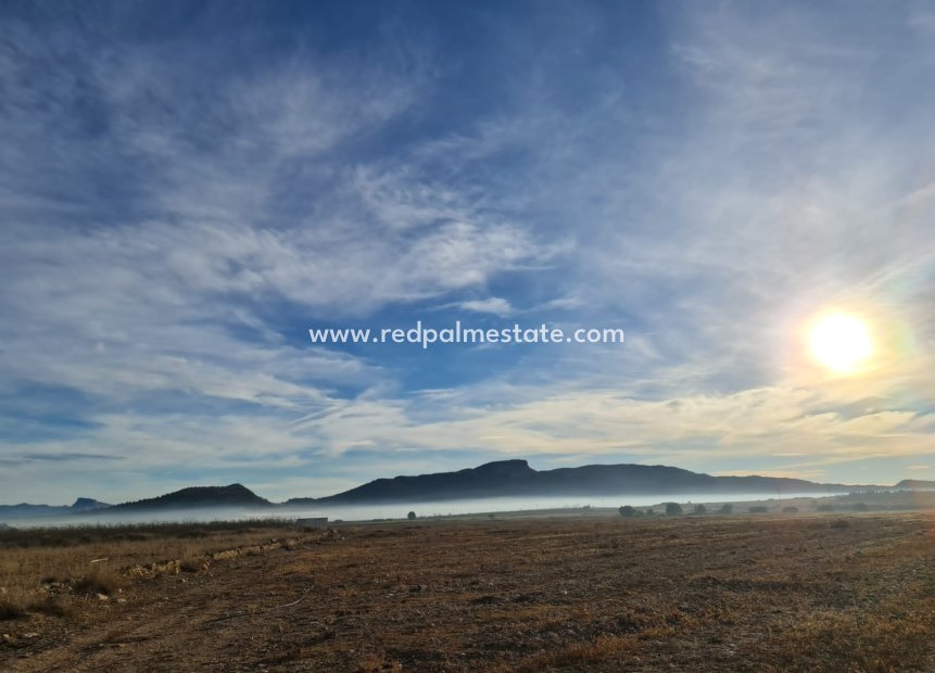 Videresalg - Plott -
Monóvar/Monóver - Inland