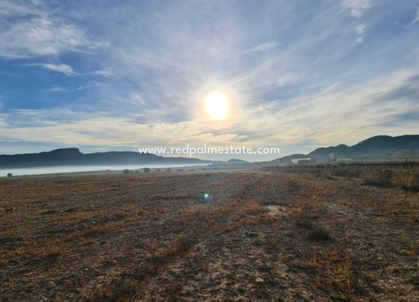 Videresalg - Plott -
Monóvar/Monóver - Inland